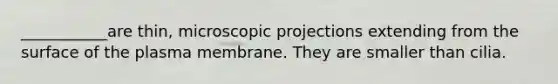 ___________are thin, microscopic projections extending from the surface of the plasma membrane. They are smaller than cilia.