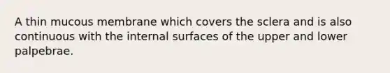 A thin mucous membrane which covers the sclera and is also continuous with the internal surfaces of the upper and lower palpebrae.