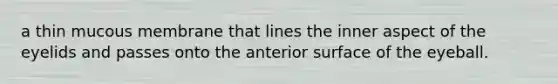 a thin mucous membrane that lines the inner aspect of the eyelids and passes onto the anterior surface of the eyeball.