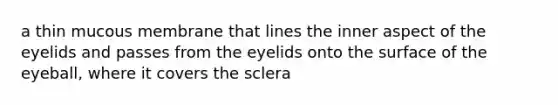 a thin mucous membrane that lines the inner aspect of the eyelids and passes from the eyelids onto the surface of the eyeball, where it covers the sclera