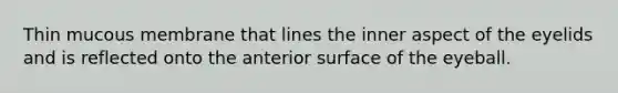 Thin mucous membrane that lines the inner aspect of the eyelids and is reflected onto the anterior surface of the eyeball.