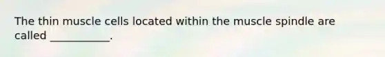 The thin muscle cells located within the muscle spindle are called ___________.