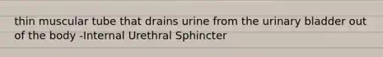 thin muscular tube that drains urine from the urinary bladder out of the body -Internal Urethral Sphincter