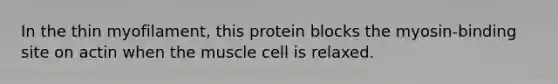 In the thin myofilament, this protein blocks the myosin-binding site on actin when the muscle cell is relaxed.