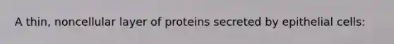 A thin, noncellular layer of proteins secreted by epithelial cells: