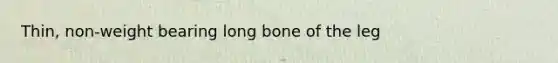 Thin, non-weight bearing long bone of the leg