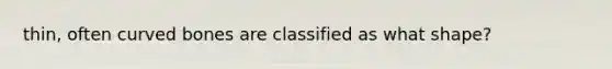 thin, often curved bones are classified as what shape?