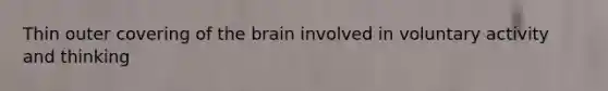 Thin outer covering of the brain involved in voluntary activity and thinking