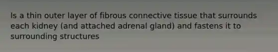 Is a thin outer layer of fibrous connective tissue that surrounds each kidney (and attached adrenal gland) and fastens it to surrounding structures