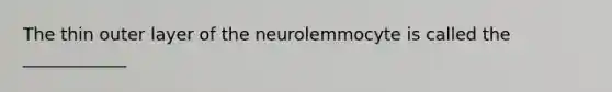 The thin outer layer of the neurolemmocyte is called the ____________