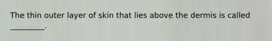 The thin outer layer of skin that lies above the dermis is called _________.