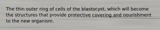 The thin outer ring of cells of the blastocyst, which will become the structures that provide protective covering and nourishment to the new organism.