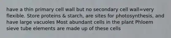 have a thin primary cell wall but no secondary cell wall=very flexible. Store proteins & starch, are sites for photosynthesis, and have large vacuoles Most abundant cells in the plant Phloem sieve tube elements are made up of these cells