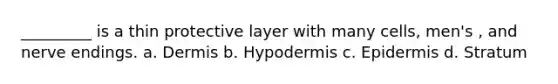 _________ is a thin protective layer with many cells, men's , and nerve endings. a. Dermis b. Hypodermis c. Epidermis d. Stratum