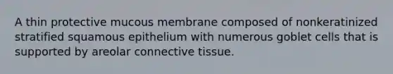 A thin protective mucous membrane composed of nonkeratinized stratified squamous epithelium with numerous goblet cells that is supported by areolar connective tissue.