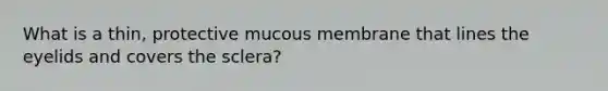 What is a thin, protective mucous membrane that lines the eyelids and covers the sclera?