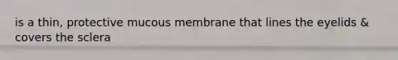 is a thin, protective mucous membrane that lines the eyelids & covers the sclera