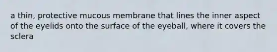 a thin, protective mucous membrane that lines the inner aspect of the eyelids onto the surface of the eyeball, where it covers the sclera