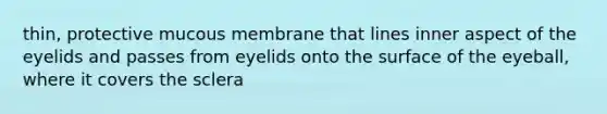 thin, protective mucous membrane that lines inner aspect of the eyelids and passes from eyelids onto the surface of the eyeball, where it covers the sclera