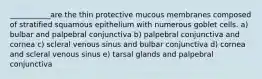 ___________are the thin protective mucous membranes composed of stratified squamous epithelium with numerous goblet cells. a) bulbar and palpebral conjunctiva b) palpebral conjunctiva and cornea c) scleral venous sinus and bulbar conjunctiva d) cornea and scleral venous sinus e) tarsal glands and palpebral conjunctiva