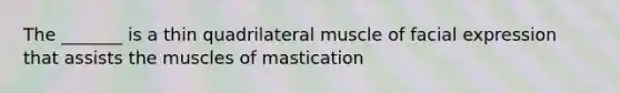 The _______ is a thin quadrilateral muscle of facial expression that assists the muscles of mastication