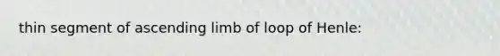 thin segment of ascending limb of loop of Henle: