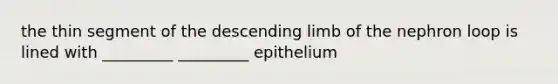 the thin segment of the descending limb of the nephron loop is lined with _________ _________ epithelium