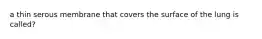 a thin serous membrane that covers the surface of the lung is called?