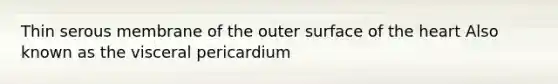 Thin serous membrane of the outer surface of the heart Also known as the visceral pericardium