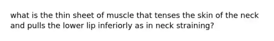 what is the thin sheet of muscle that tenses the skin of the neck and pulls the lower lip inferiorly as in neck straining?