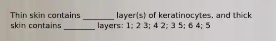 Thin skin contains ________ layer(s) of keratinocytes, and thick skin contains ________ layers: 1; 2 3; 4 2; 3 5; 6 4; 5