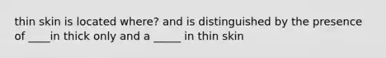 thin skin is located where? and is distinguished by the presence of ____in thick only and a _____ in thin skin