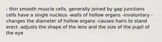 - thin smooth muscle cells, generally joined by gap junctions cells have a single nucleus -walls of hollow organs -involuntary - changes the diameter of hollow organs -causes hairs to stand erect -adjusts the shape of the lens and the size of the pupil of the eye