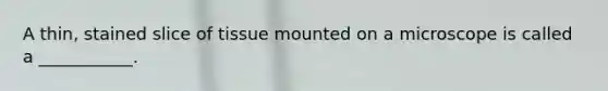 A thin, stained slice of tissue mounted on a microscope is called a ___________.