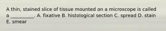 A thin, stained slice of tissue mounted on a microscope is called a __________. A. fixative B. histological section C. spread D. stain E. smear