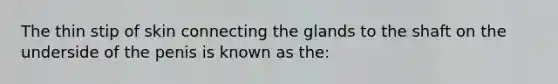 The thin stip of skin connecting the glands to the shaft on the underside of the penis is known as the: