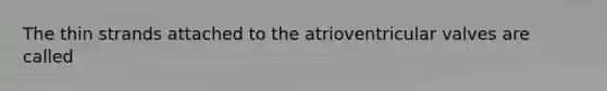 The thin strands attached to the atrioventricular valves are called