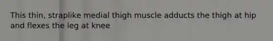 This thin, straplike medial thigh muscle adducts the thigh at hip and flexes the leg at knee