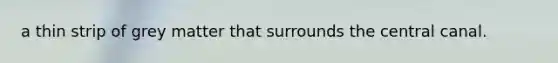 a thin strip of grey matter that surrounds the central canal.