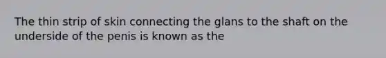 The thin strip of skin connecting the glans to the shaft on the underside of the penis is known as the