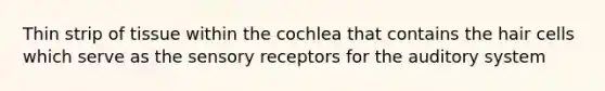 Thin strip of tissue within the cochlea that contains the hair cells which serve as the sensory receptors for the auditory system