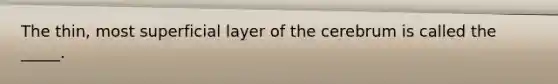 The thin, most superficial layer of the cerebrum is called the _____.