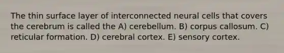 The thin surface layer of interconnected neural cells that covers the cerebrum is called the A) cerebellum. B) corpus callosum. C) reticular formation. D) cerebral cortex. E) sensory cortex.