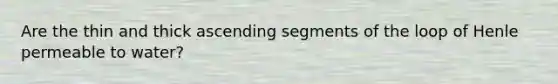 Are the thin and thick ascending segments of the loop of Henle permeable to water?