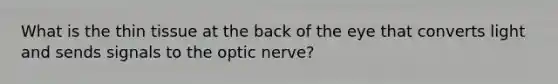 What is the thin tissue at the back of the eye that converts light and sends signals to the optic nerve?