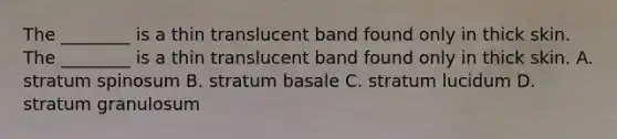 The ________ is a thin translucent band found only in thick skin. The ________ is a thin translucent band found only in thick skin. A. stratum spinosum B. stratum basale C. stratum lucidum D. stratum granulosum