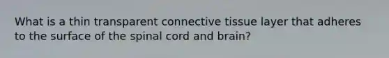 What is a thin transparent connective tissue layer that adheres to the surface of the spinal cord and brain?