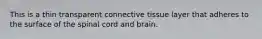 This is a thin transparent connective tissue layer that adheres to the surface of the spinal cord and brain.