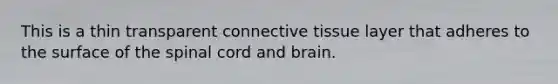 This is a thin transparent connective tissue layer that adheres to the surface of the spinal cord and brain.