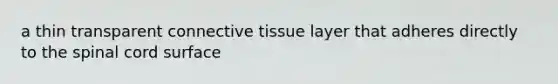 a thin transparent connective tissue layer that adheres directly to the spinal cord surface